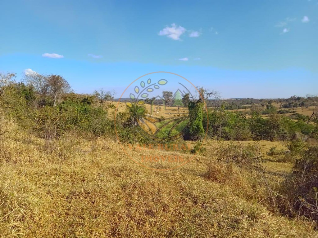 Fazenda - Foto 23
