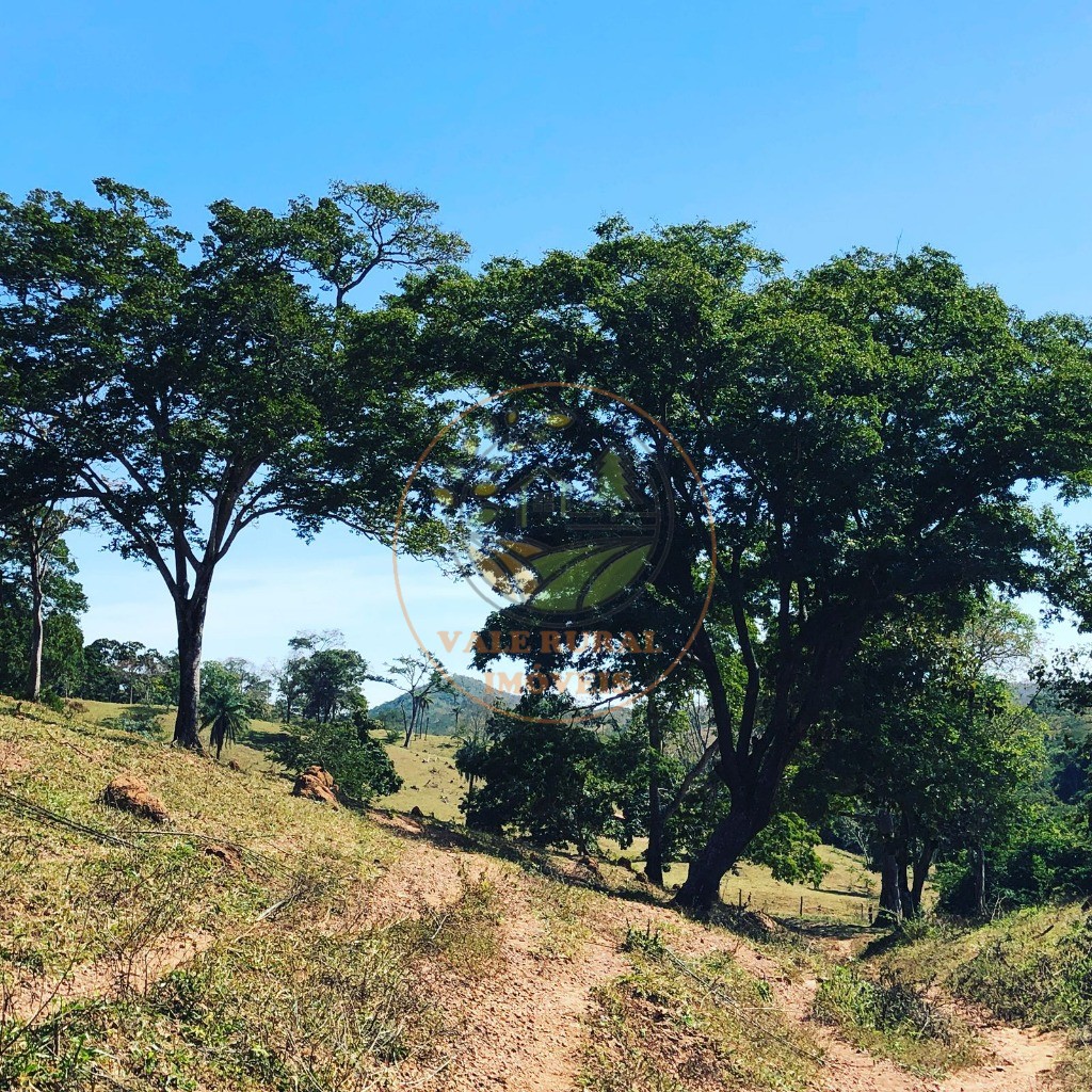 Fazenda - Foto 25