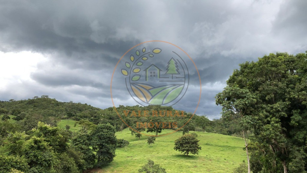 Fazenda - Foto 30