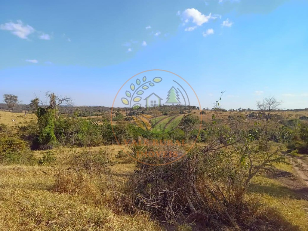 Fazenda - Foto 6