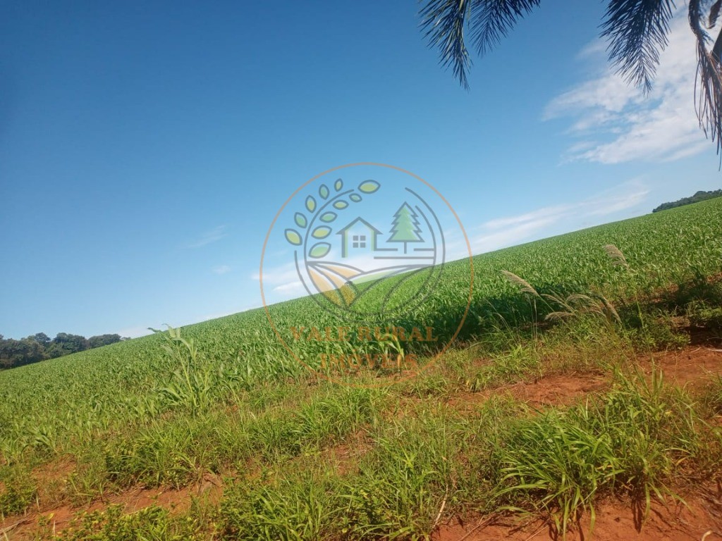 Fazenda - Foto 13