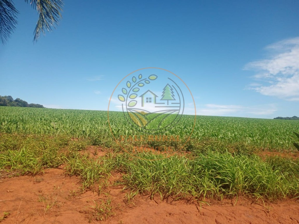 Fazenda - Foto 11