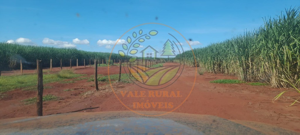 Fazenda - Foto 18
