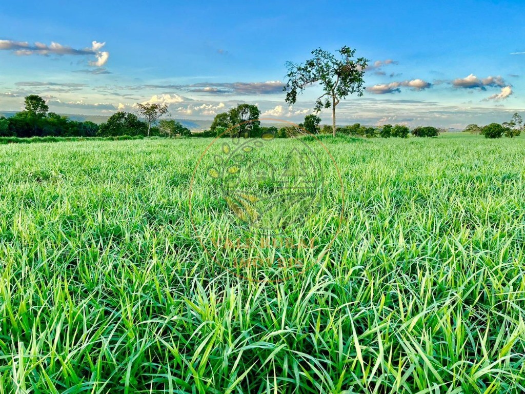 Fazenda, 2 quartos - Foto 6
