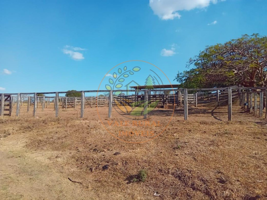 Fazenda - Foto 8