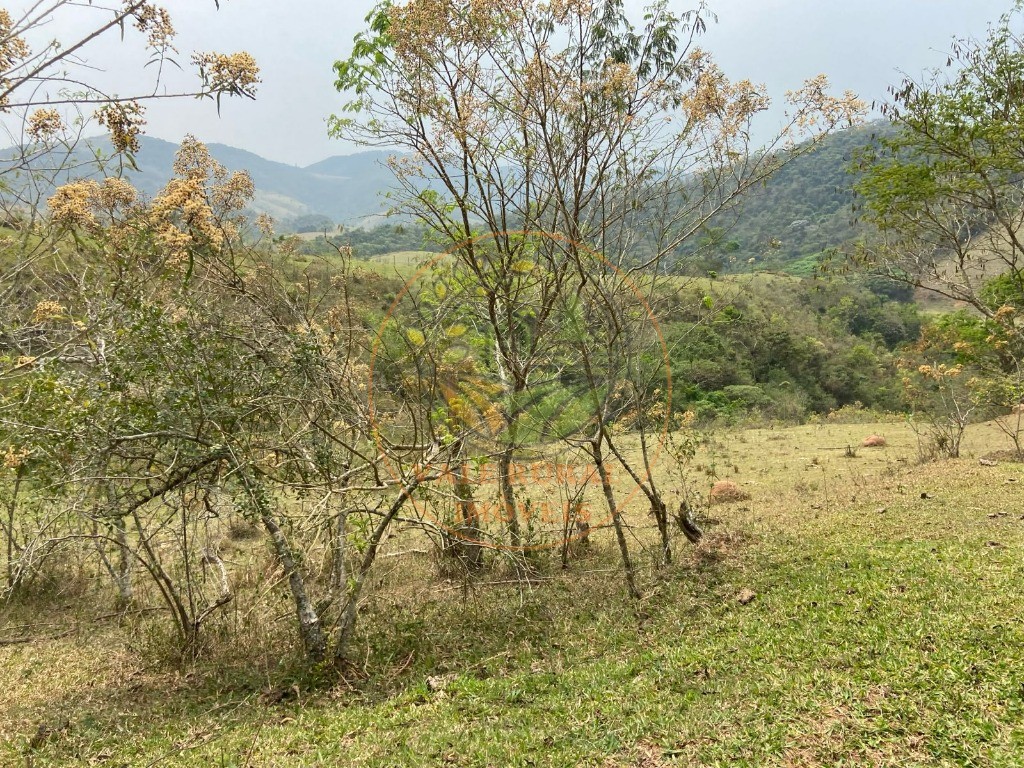 Fazenda - Foto 23