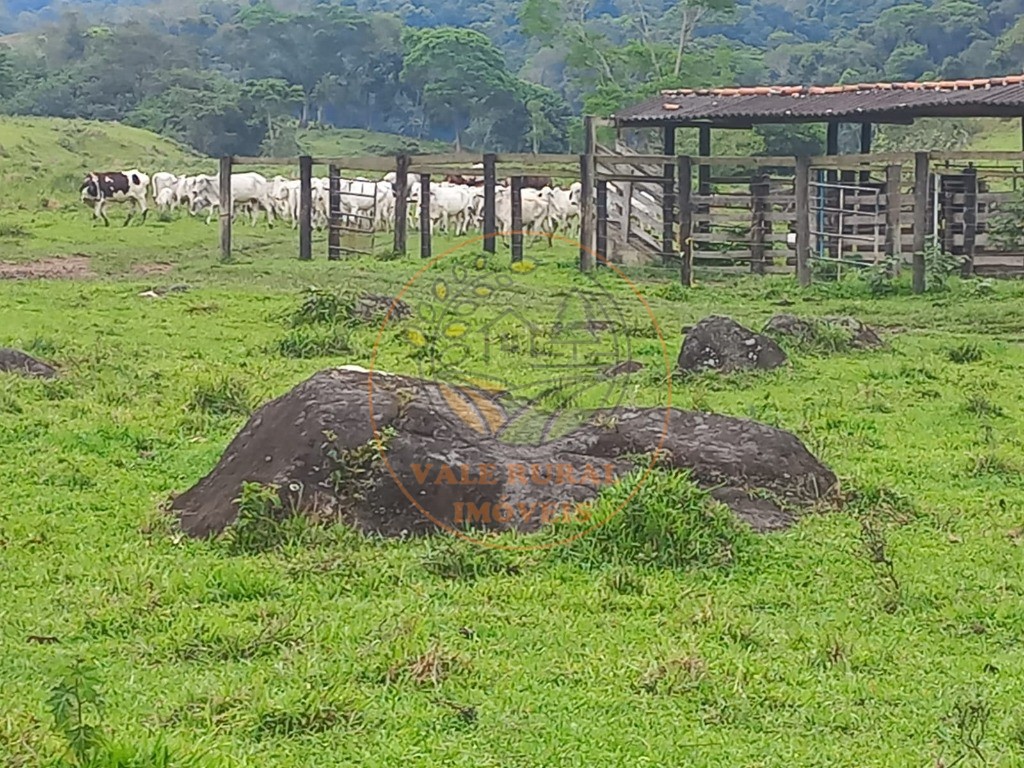 Fazenda - Foto 7