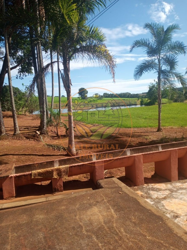 Fazenda - Foto 5