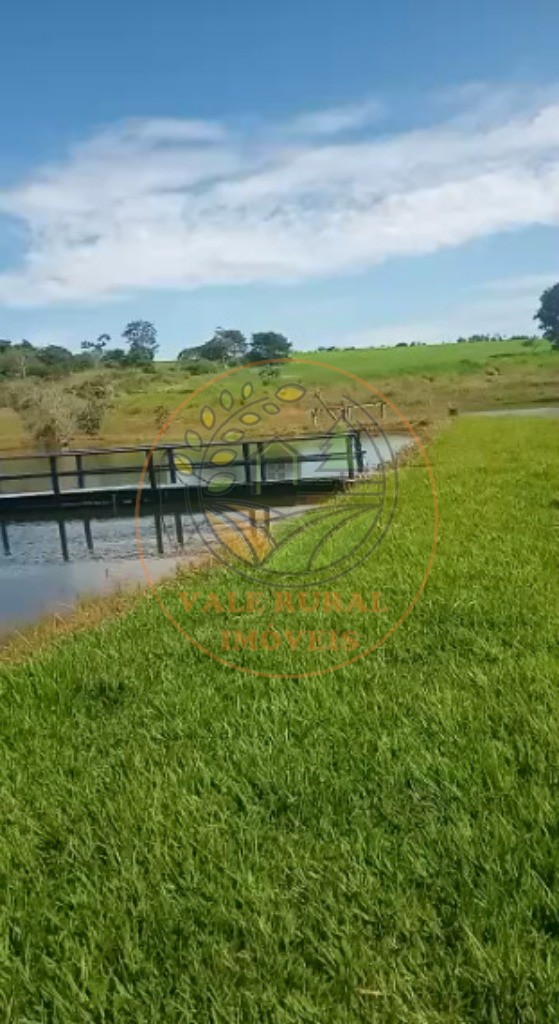 Fazenda - Foto 17