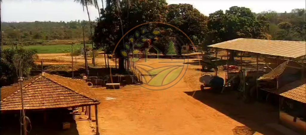 Fazenda - Foto 9