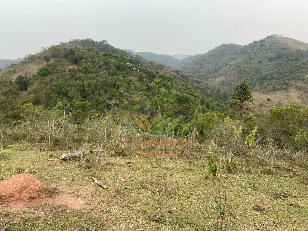 Fazenda - Foto 10