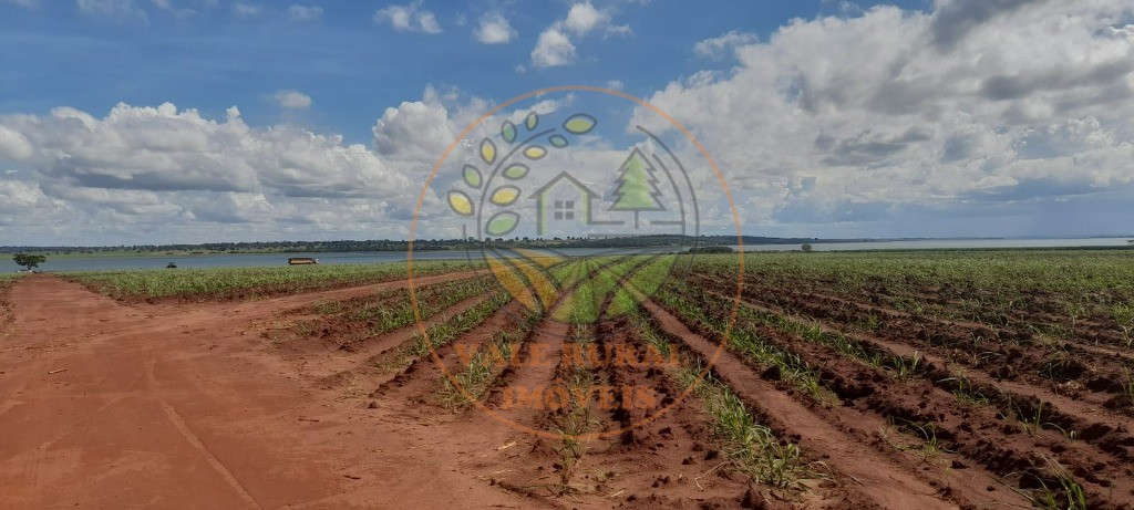 Fazenda - Foto 4