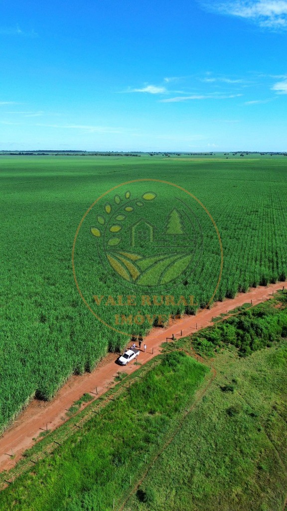 Fazenda - Foto 31