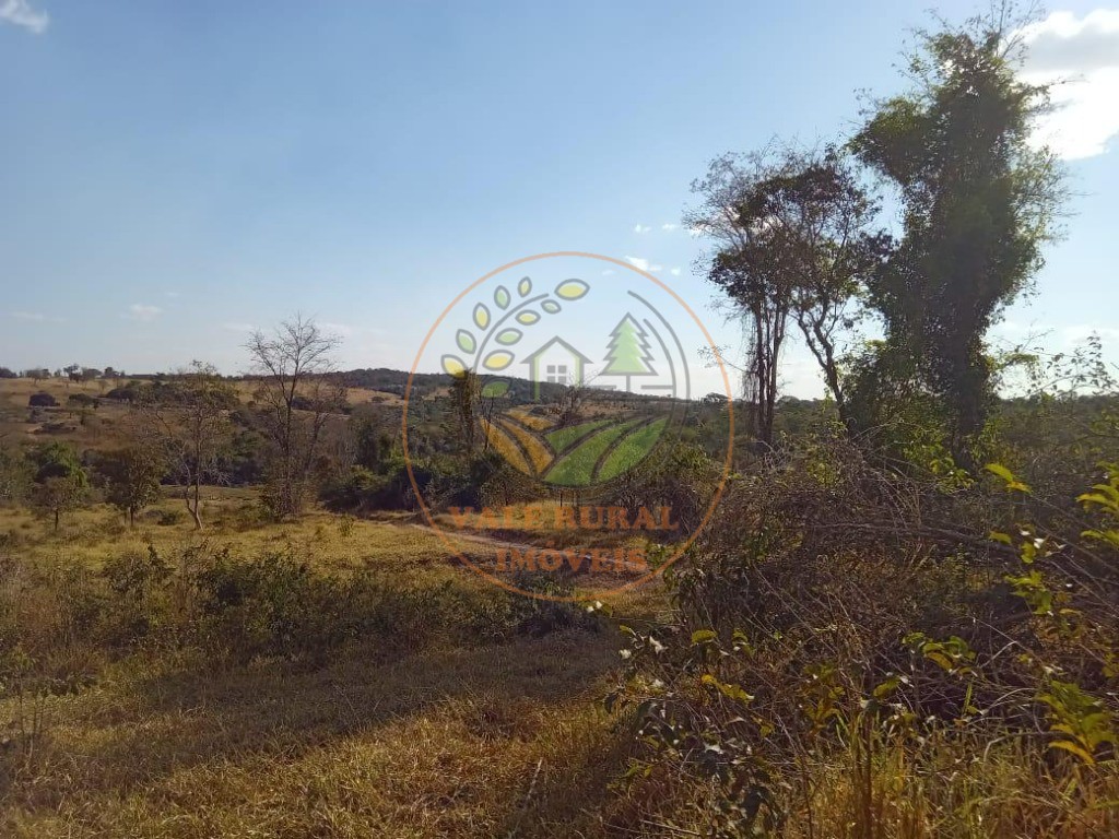 Fazenda - Foto 4
