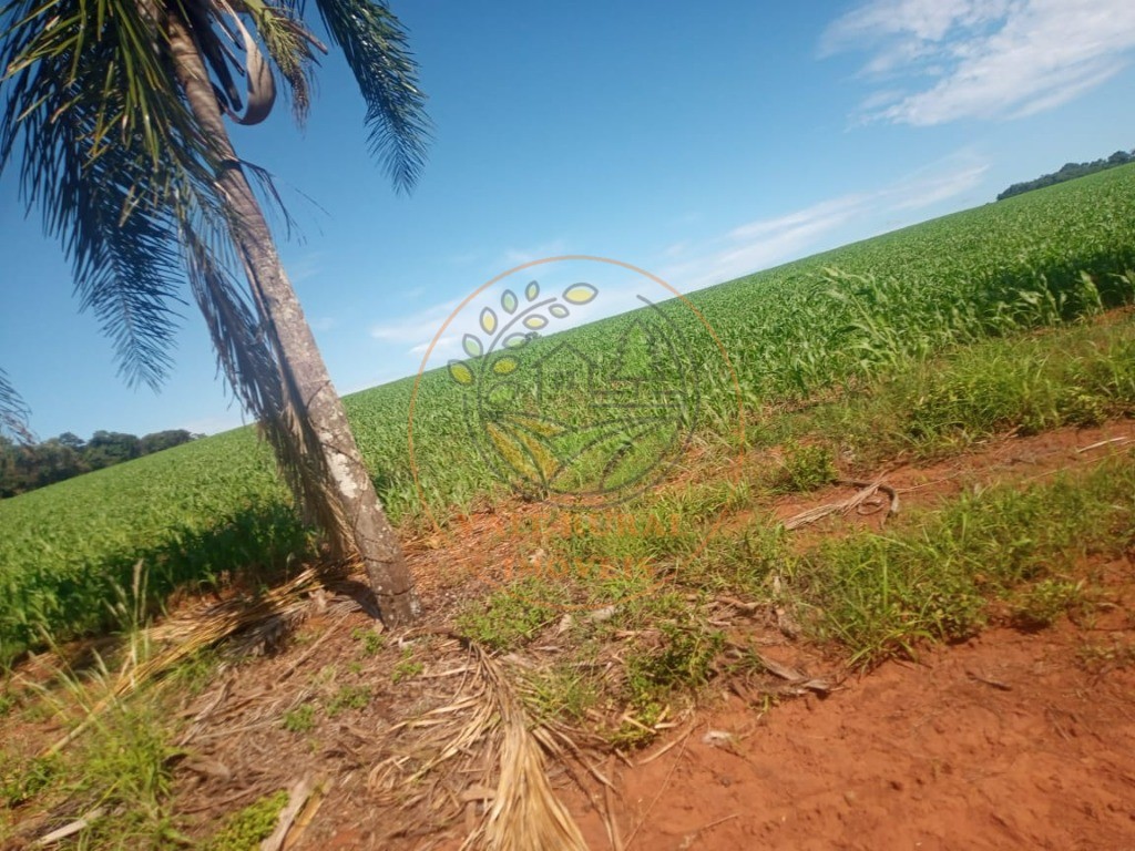 Fazenda - Foto 14