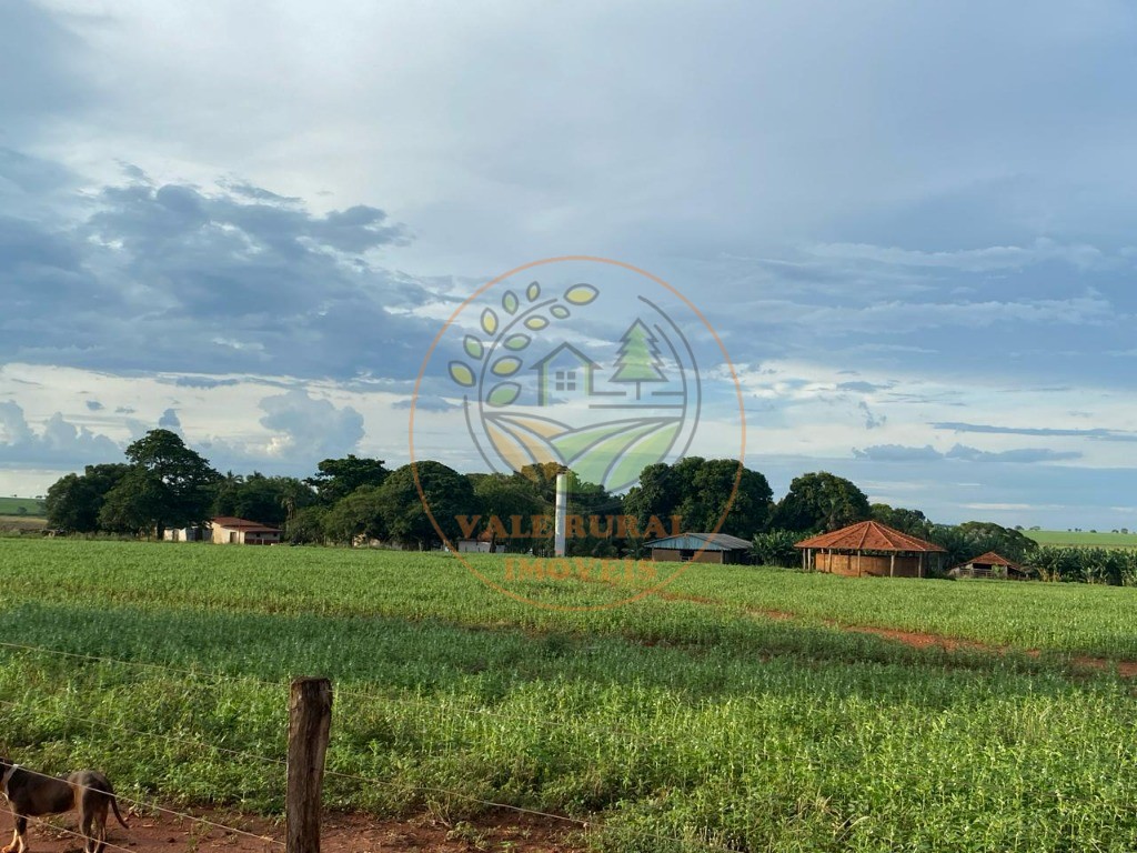 Fazenda - Foto 10