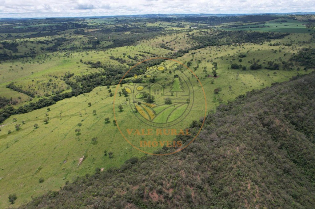Fazenda - Foto 21