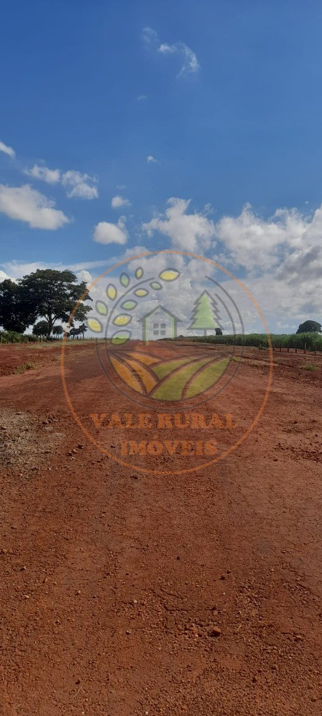 Fazenda - Foto 9