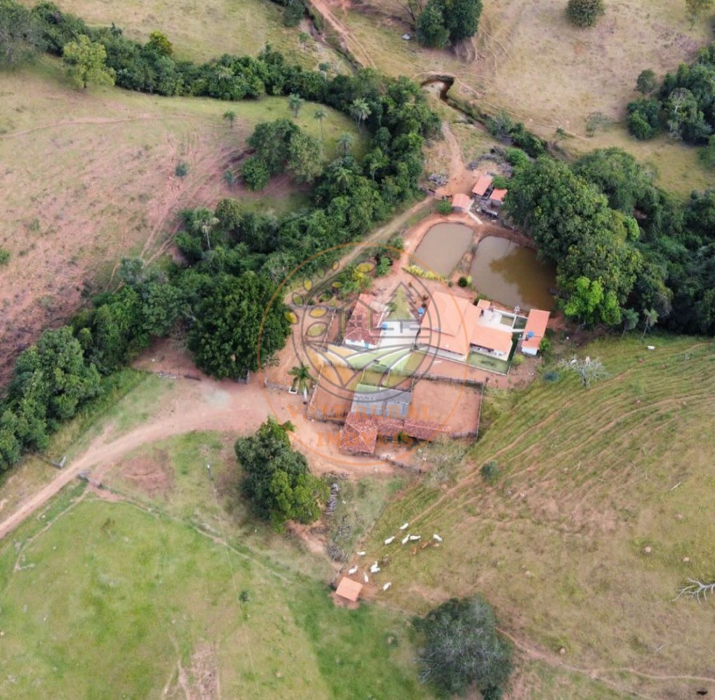 Fazenda - Foto 4