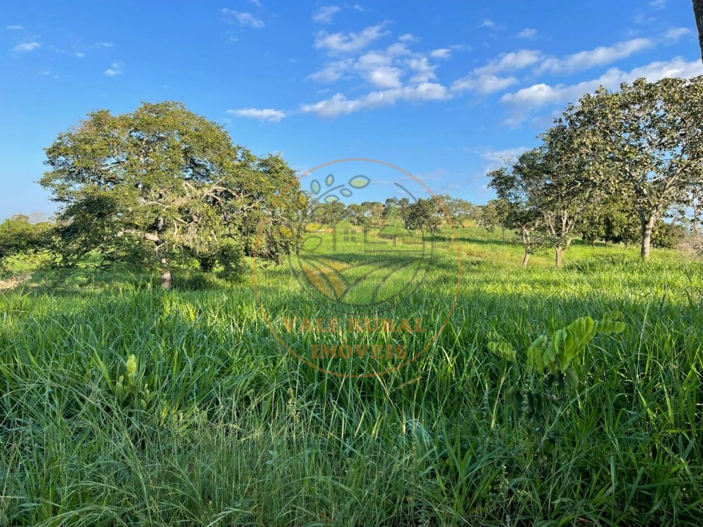 Fazenda - Foto 9
