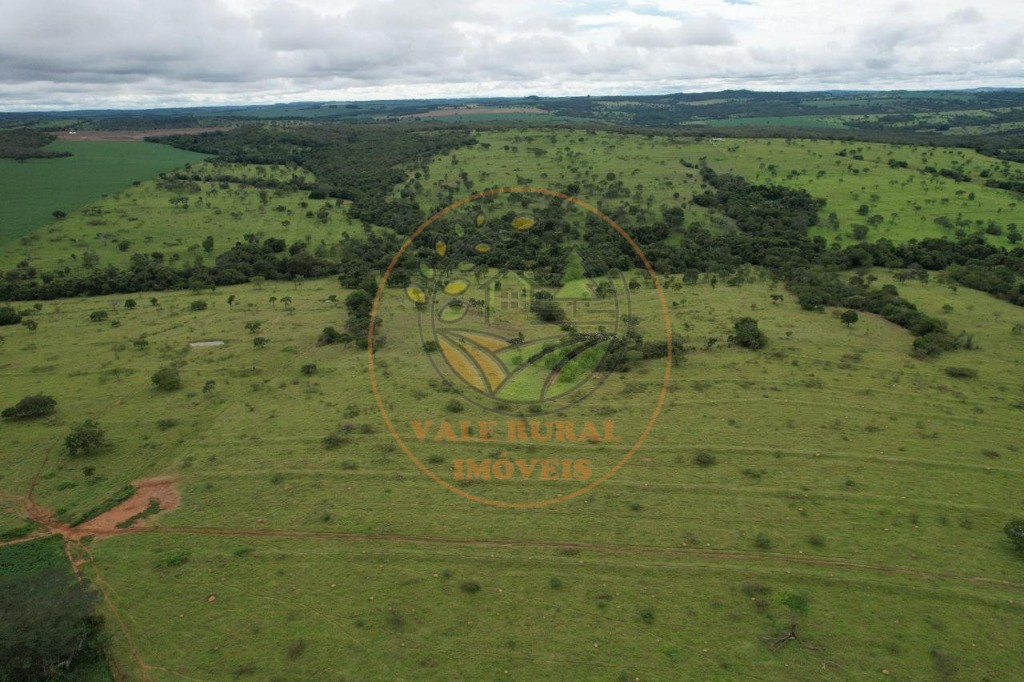 Fazenda - Foto 10