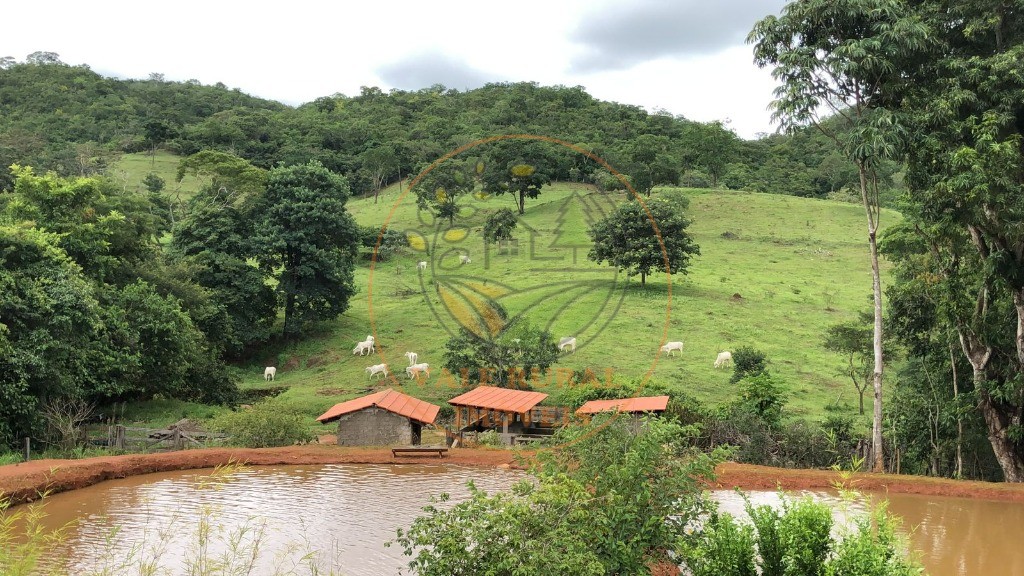 Fazenda - Foto 12