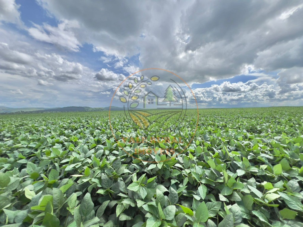 Fazenda - Foto 12