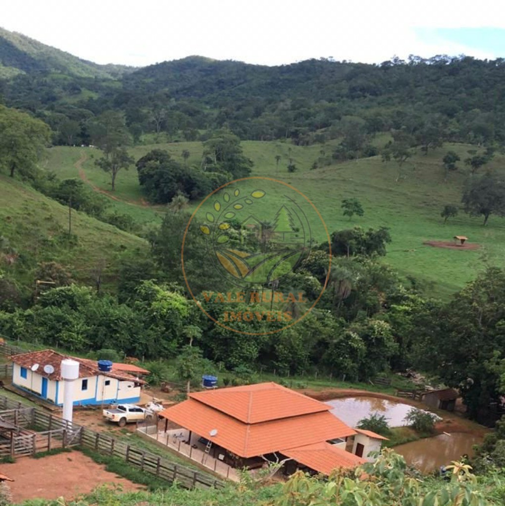 Fazenda - Foto 5