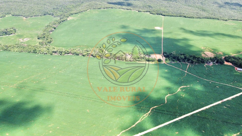 Fazenda - Foto 6