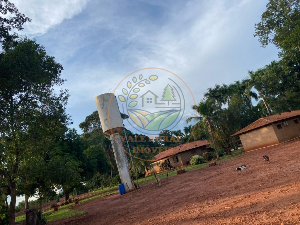 Fazenda - Foto 19
