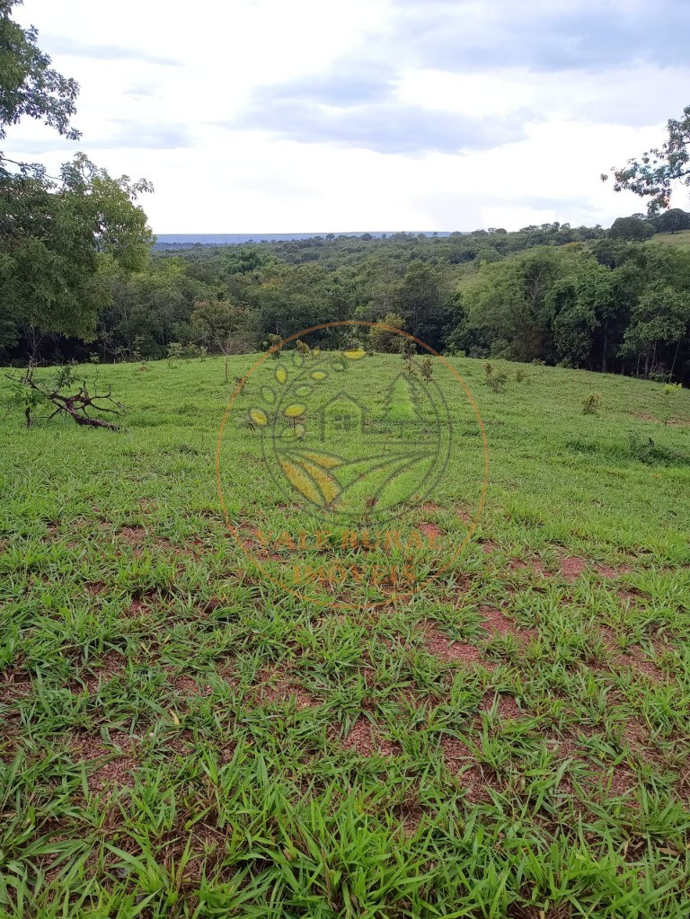 Fazenda - Foto 26