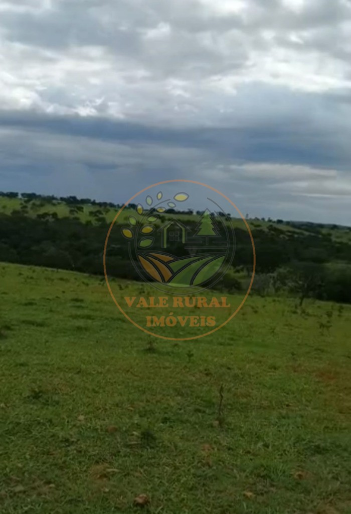 Fazenda - Foto 3