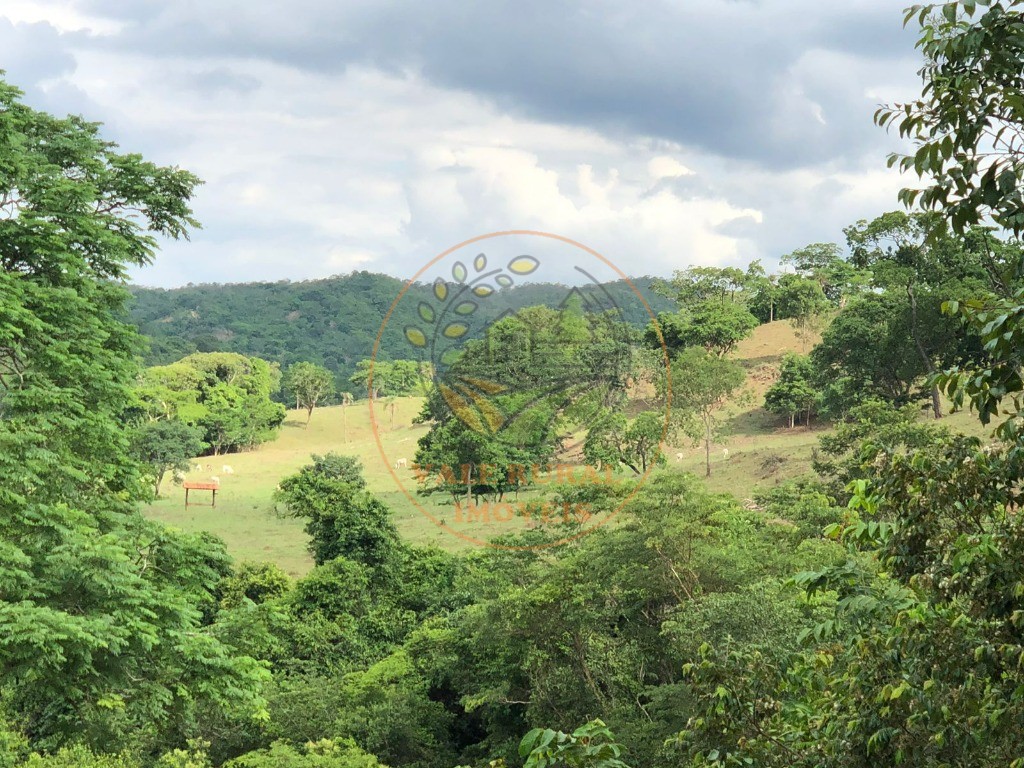 Fazenda - Foto 15