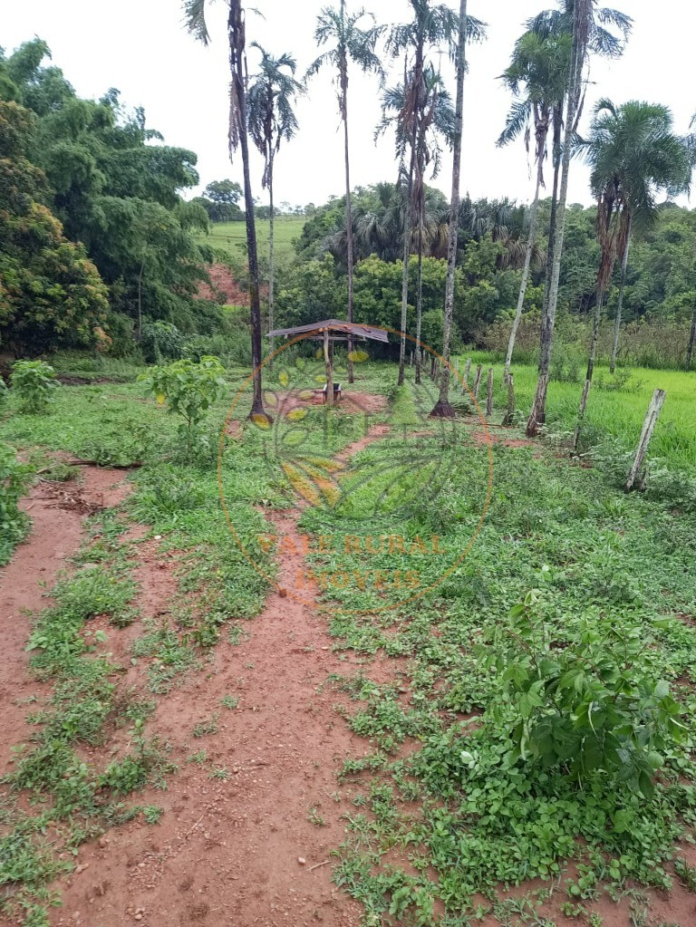 Fazenda - Foto 13