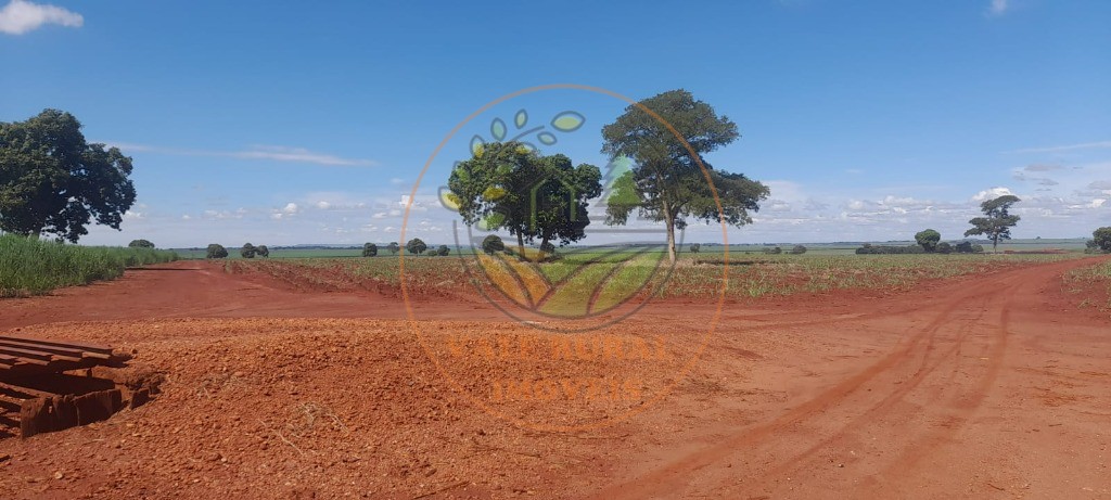 Fazenda - Foto 6