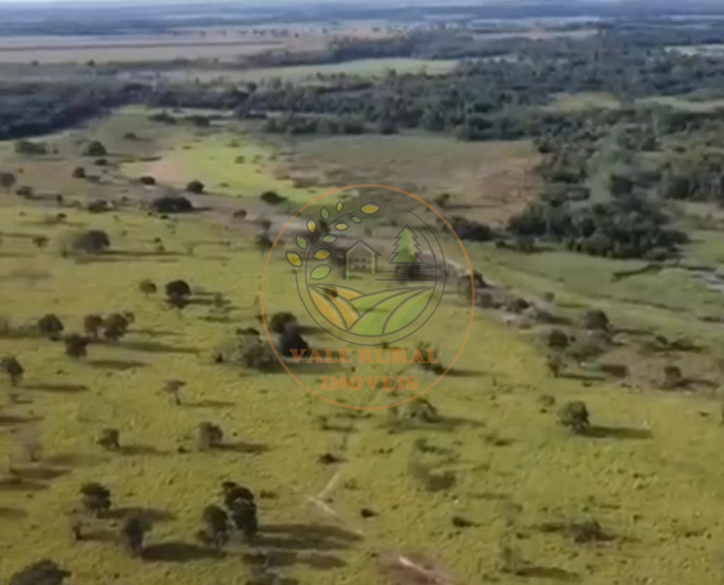Fazenda - Foto 3
