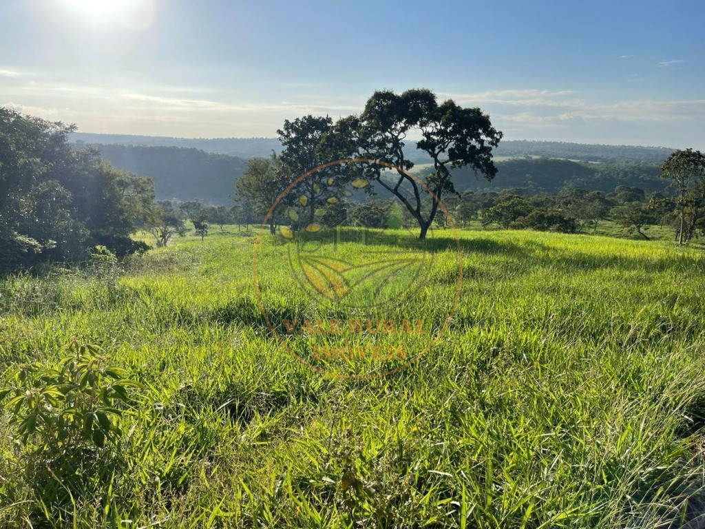 Fazenda - Foto 5