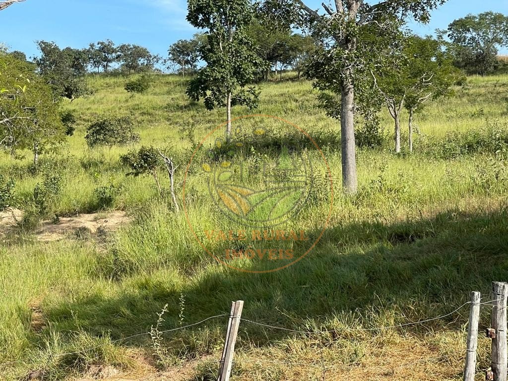 Fazenda - Foto 8