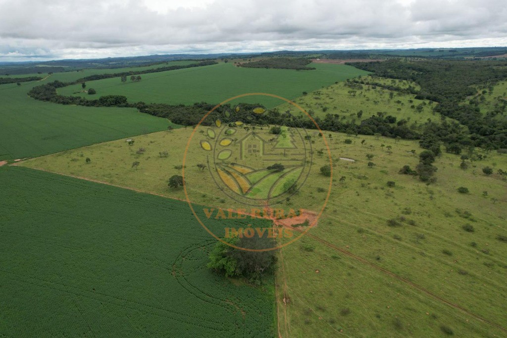 Fazenda - Foto 16