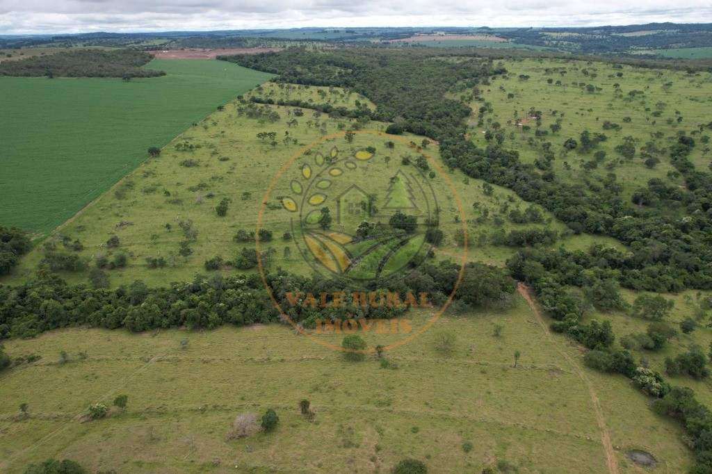 Fazenda - Foto 13