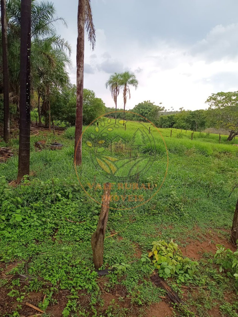 Fazenda - Foto 16