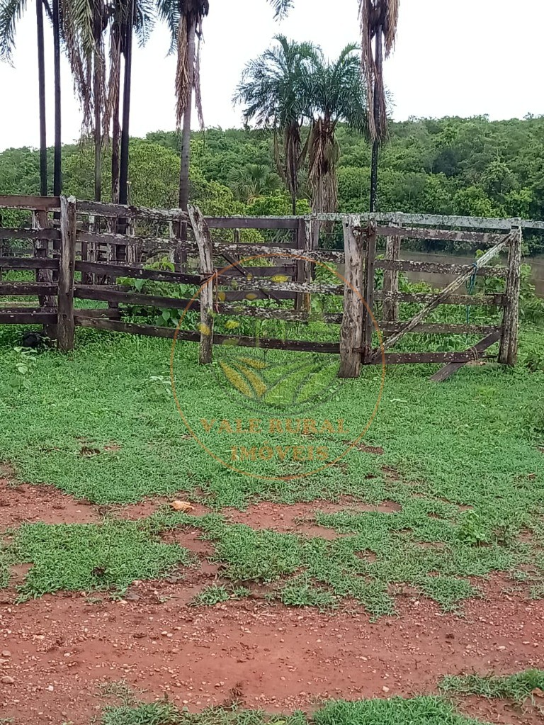 Fazenda - Foto 12