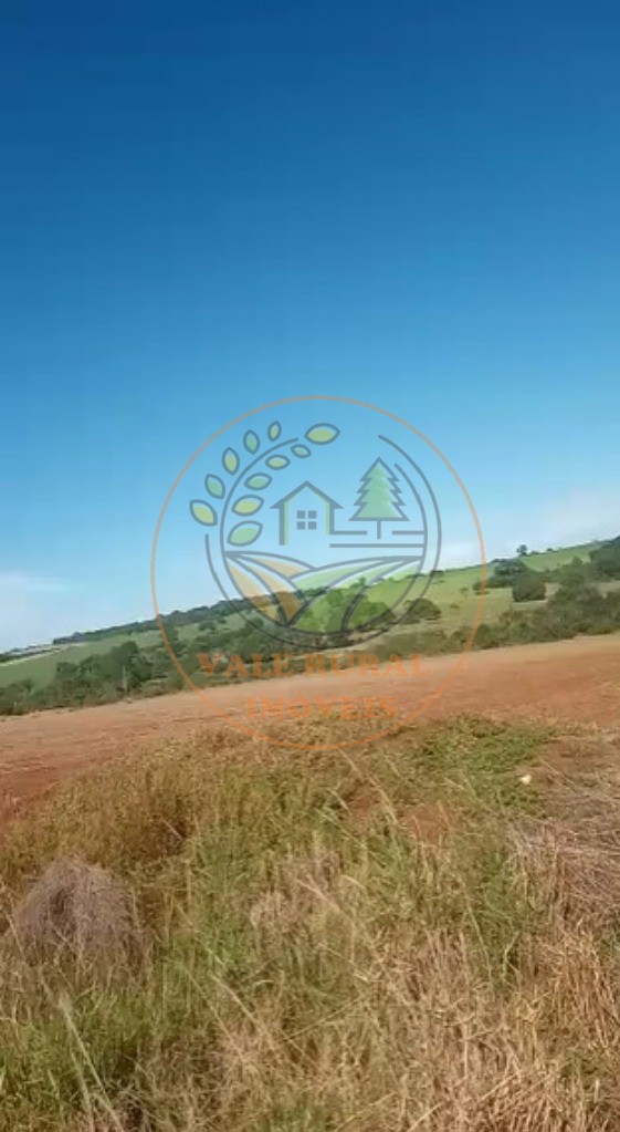 Fazenda - Foto 18