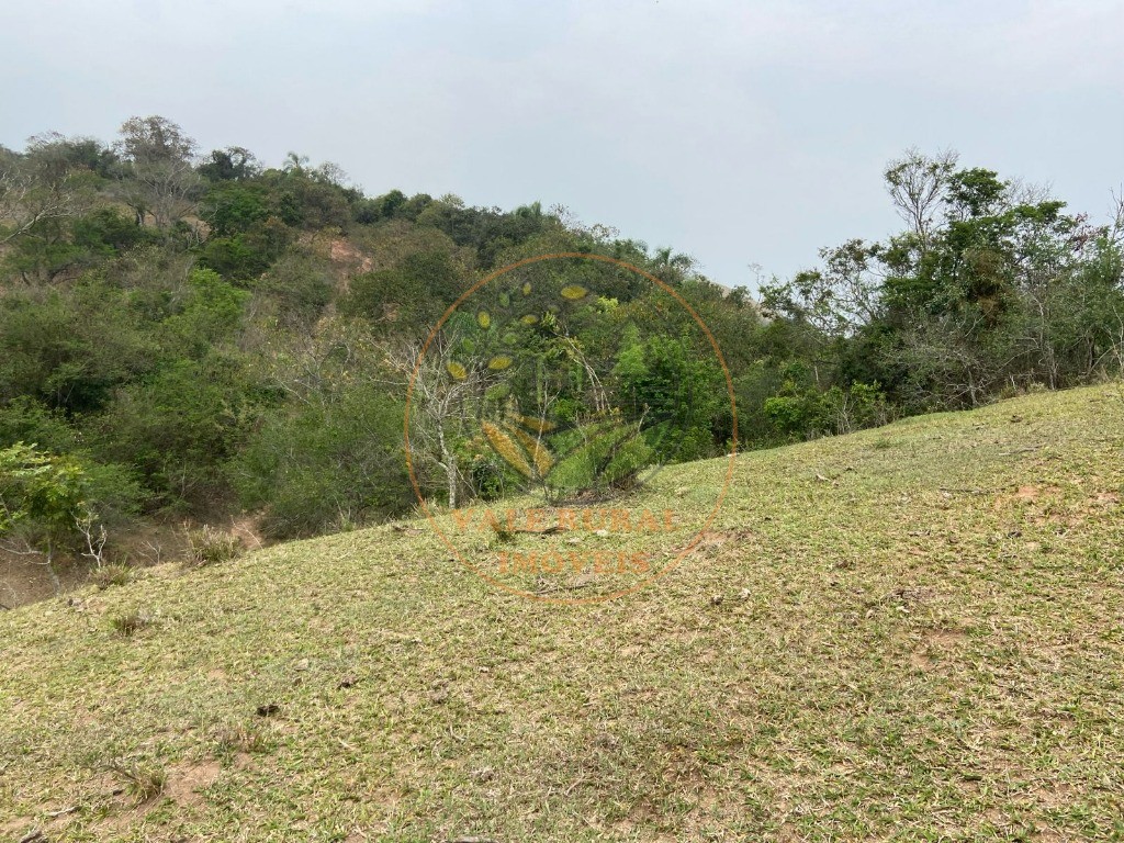 Fazenda - Foto 22