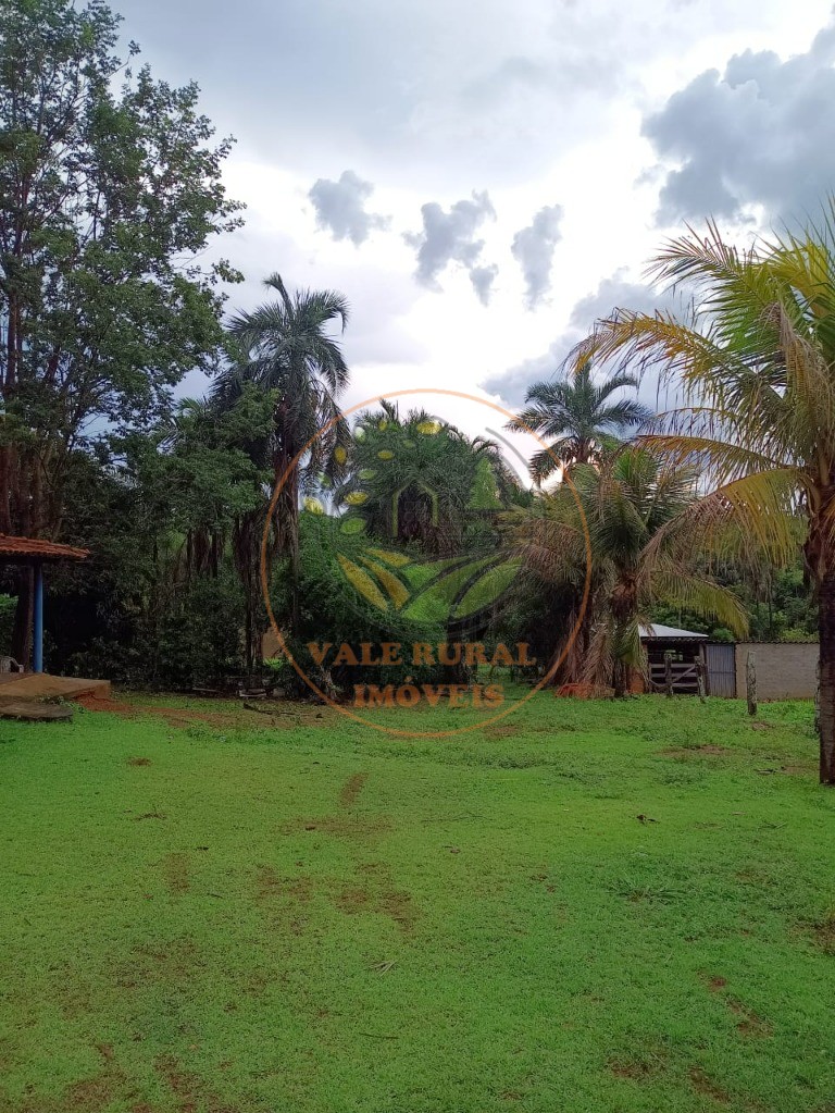 Fazenda - Foto 6