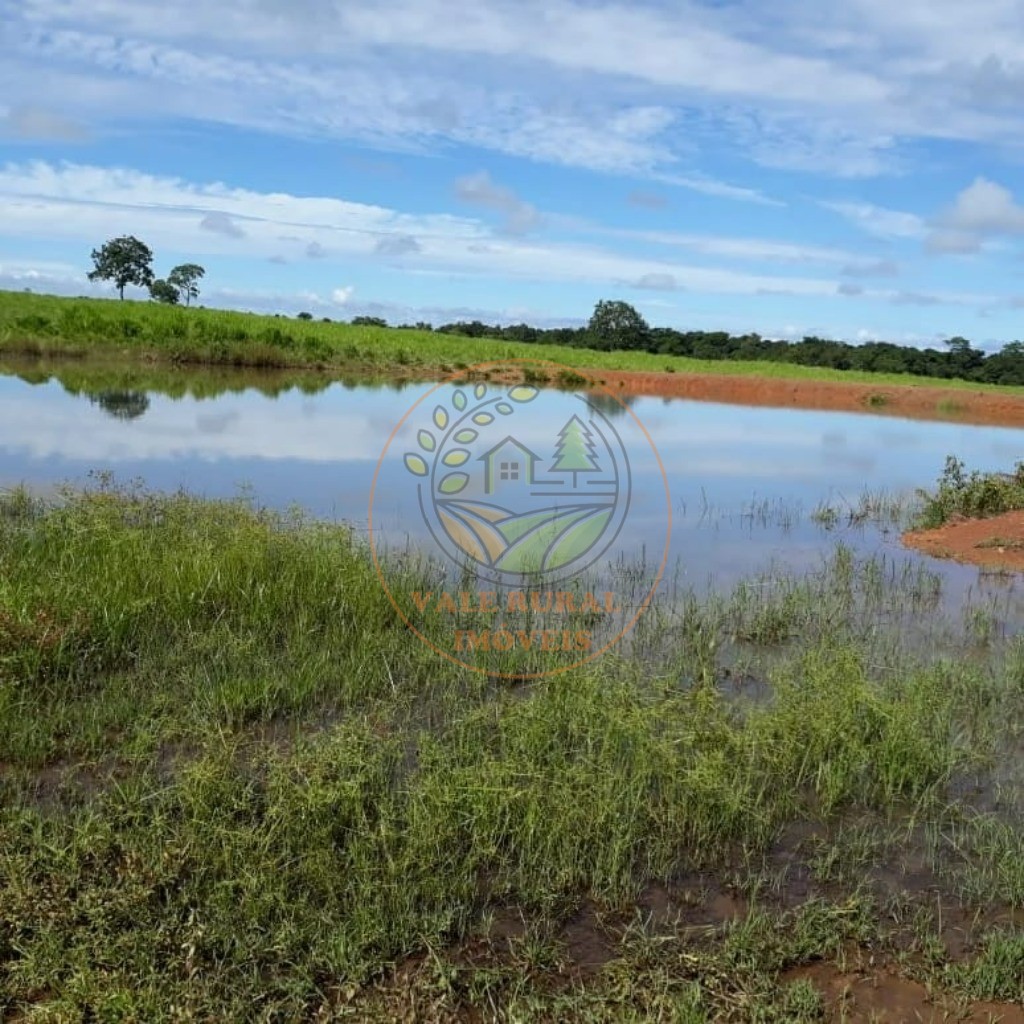 Fazenda - Foto 1