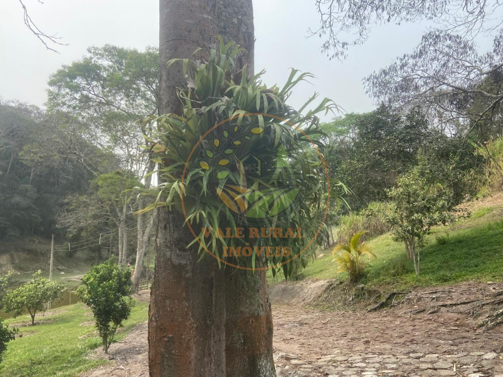 Sítio, 2 quartos - Foto 18