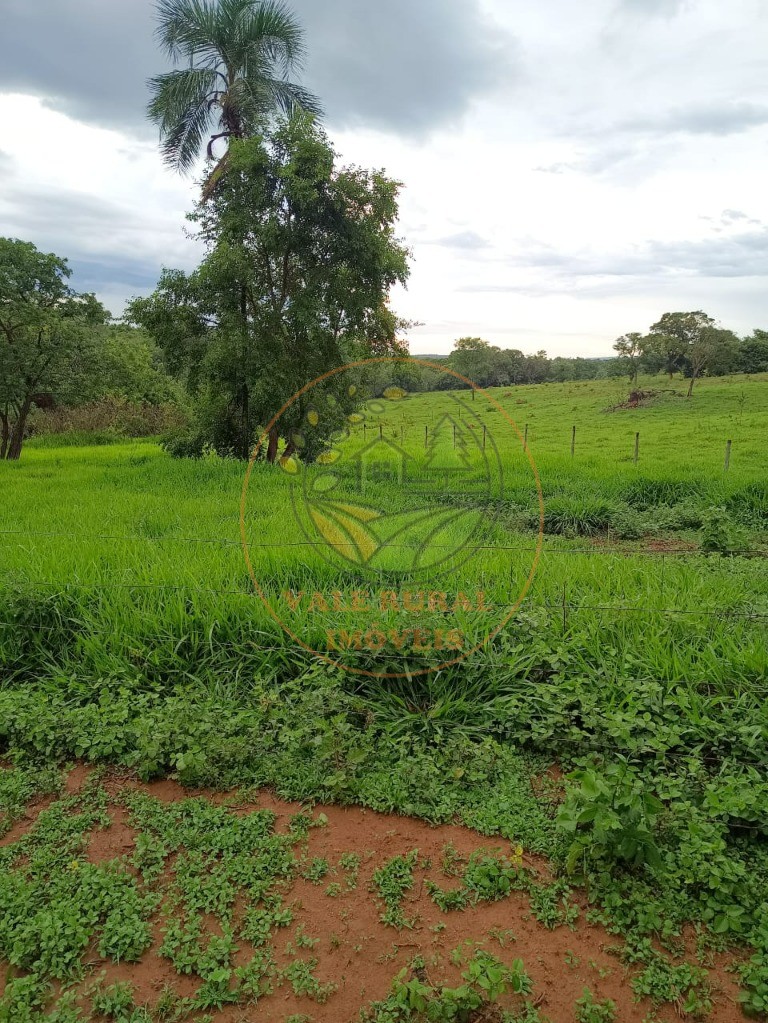 Fazenda - Foto 1