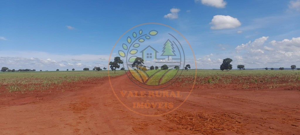 Fazenda - Foto 5