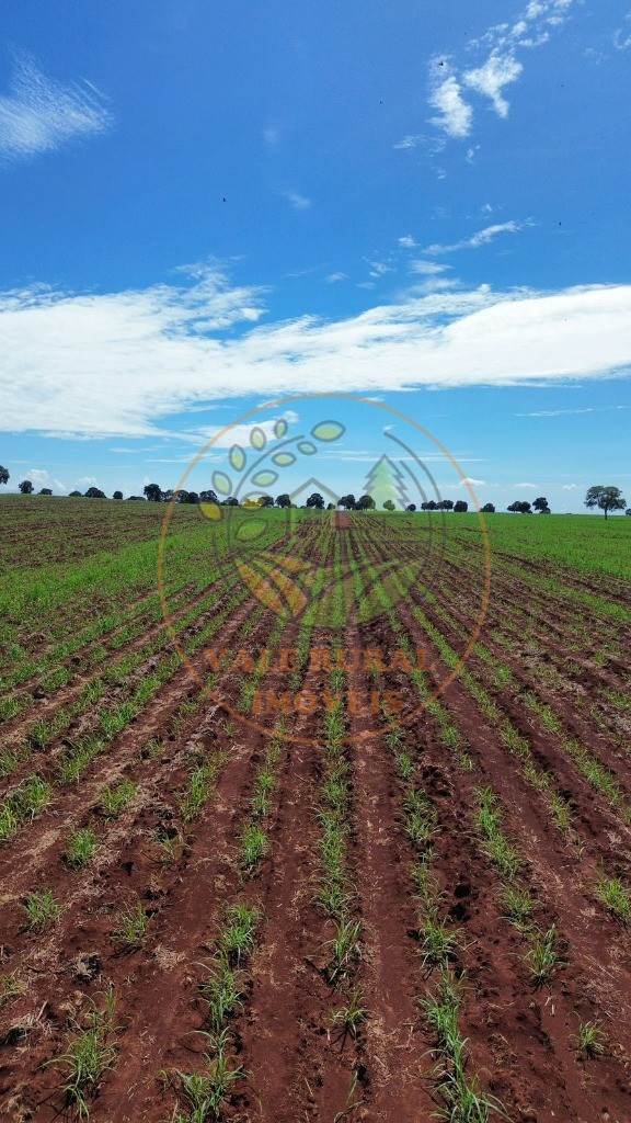 Fazenda - Foto 29